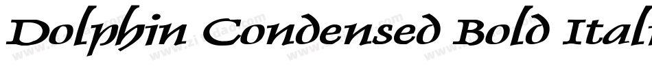 Dolphin Condensed Bold Italic字体转换